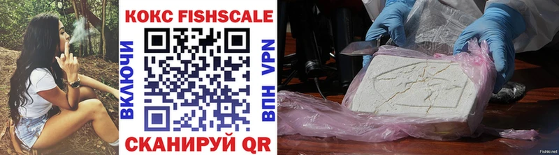 COCAIN Fish Scale Правдинск