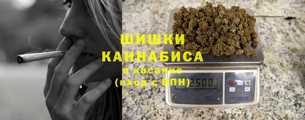 ПСИЛОЦИБИНОВЫЕ ГРИБЫ Абаза