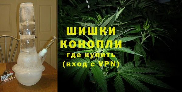 ПСИЛОЦИБИНОВЫЕ ГРИБЫ Абаза
